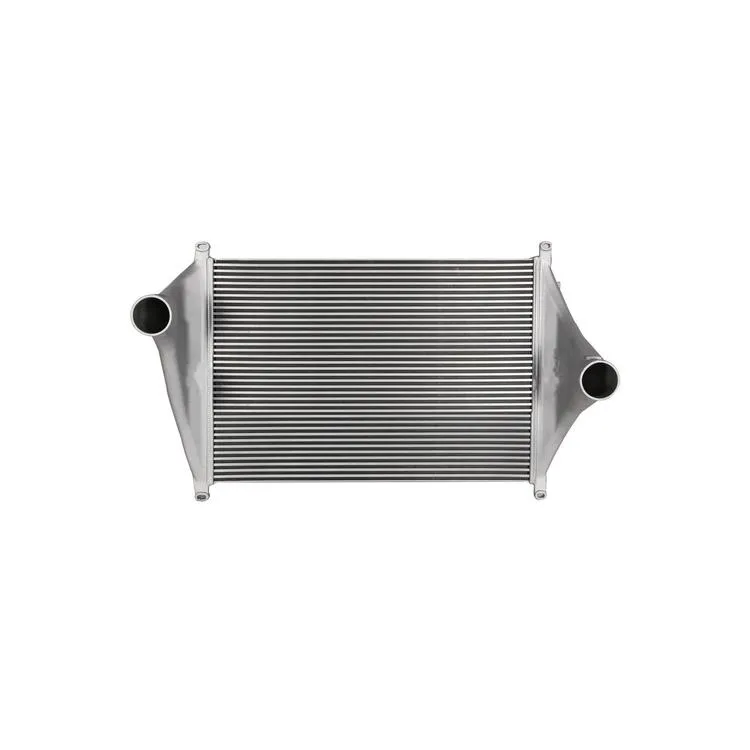 Heavy Duty Charge Air Cooler Suitable For FREIGHTLINER OEM 4859605001 4859600001 0122951